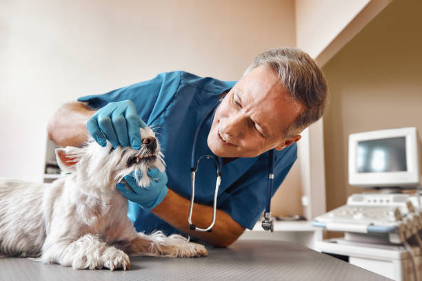 Best Emergency Wisdom Teeth Removal in Jackson, GA